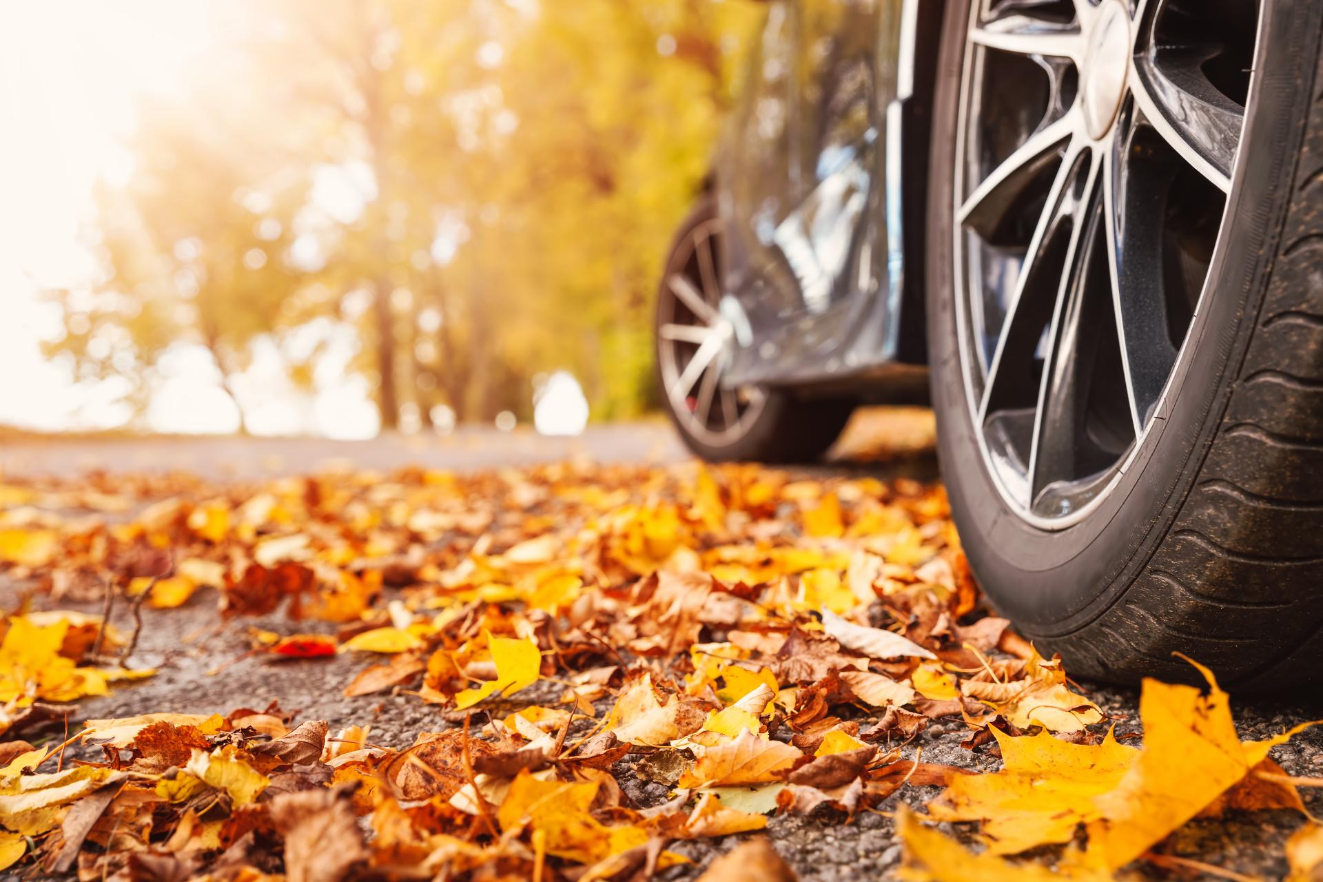 Seasonal Preventative Maintenance Checklist Seasonal Preventative Maintenance Checklist